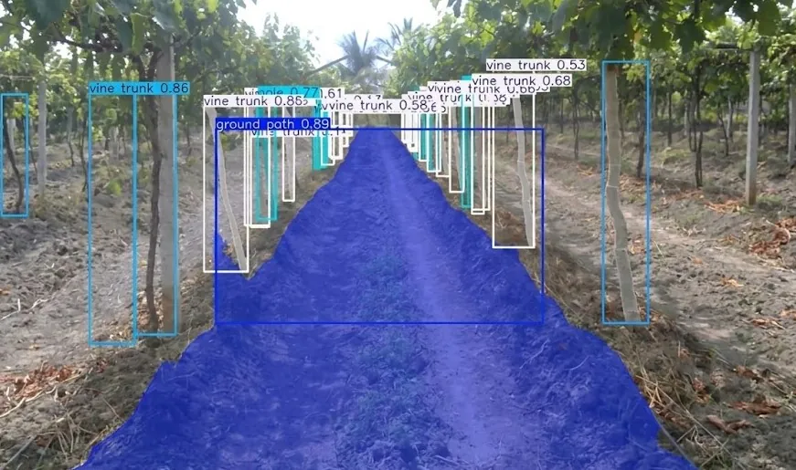 Autonomous row-following alignment between vineyard rows