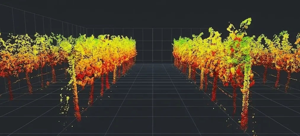 LiDAR-driven SLAM mapping the orchard canopy
